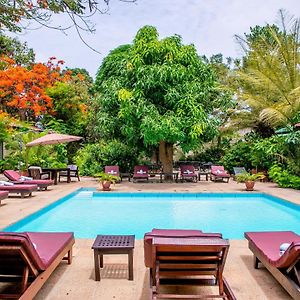 Hibiscus House Gambia